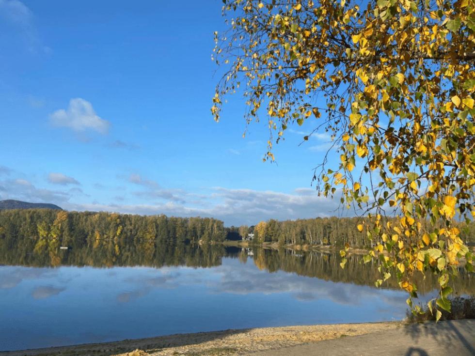 Wellness Penzion Kristýna - Áčko Hrádek nad Nisou Esterno foto
